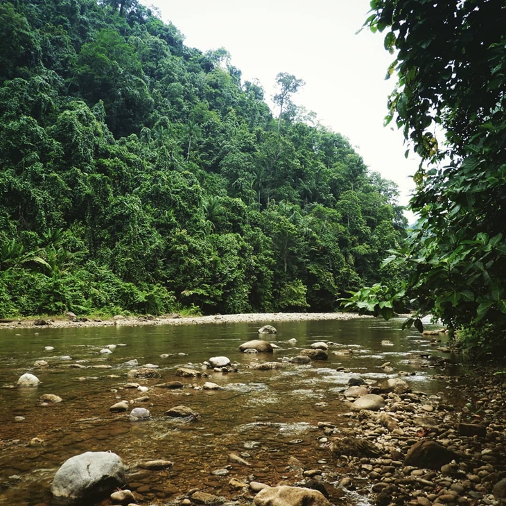 Sensasi Tualang di Taman Nasional Aketajawe Lolobata