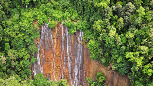 Taman Nasional Aketajawe Lolobata. (Ist)