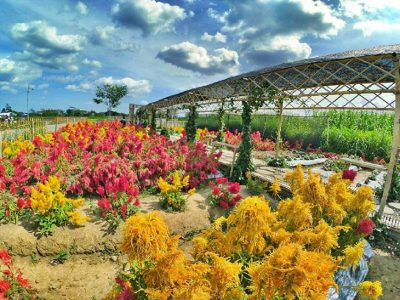 Bono Park Klaten. (Foto: instagram@alip.n.rohman.9)