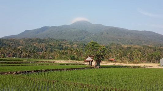 Ada banyak flora dan fauna di sana (Sumber: Instagram/nenisuryani72)