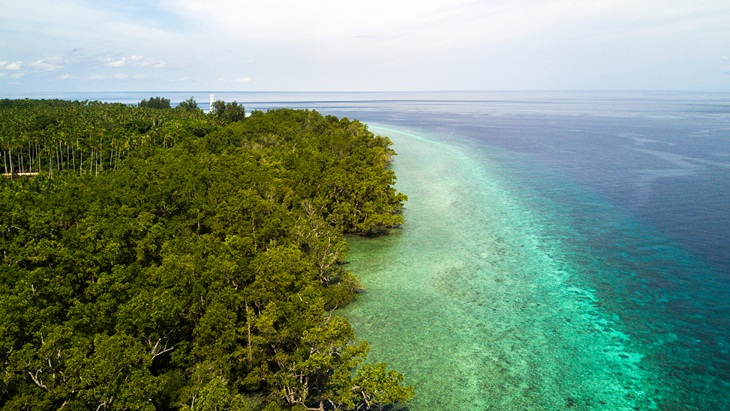 Wisata Tanjung Waka, Surganya Penyu Hijau