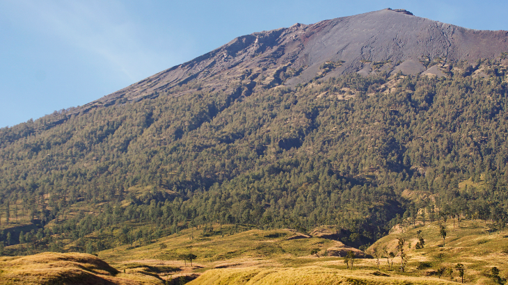 Tiu Telep, Surga yang Tersembunyi di Gunung Rinjani