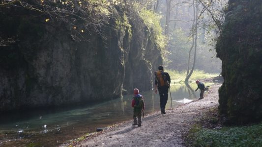 Tak ada salahnya mengajak anak hiking (Sumber: Pixabay/jetipix)