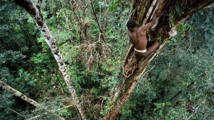 Mengenal Lebih Dekat Suku Korowai, Manusia Pohon Asal Papua