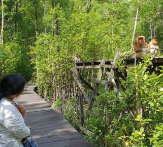 Kawasan Konservasi Mangrove dan Bekantan Tarakan. (Foto: instagram.com/jf_7n15a)