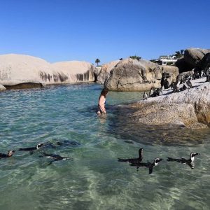 Boulders Beach. (Foto: instagram.com/southafricada)