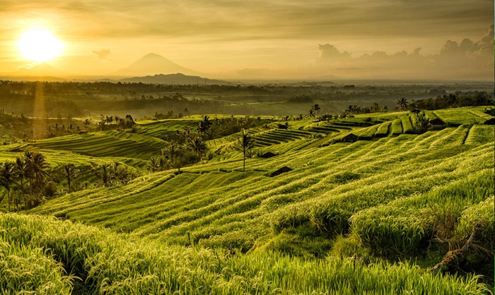 Jatiluwih, Surganya Sport Tourism dan Agro Tourism