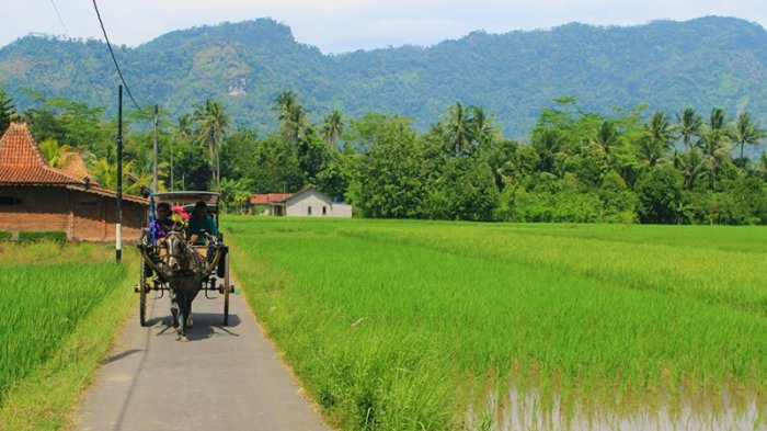 Tiga Desa Wisata ini Bisa Jadi Destinasi Liburan Seru