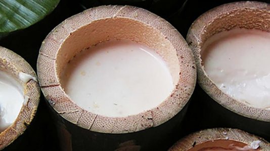 dadiah yoghurt dari susu kerbau