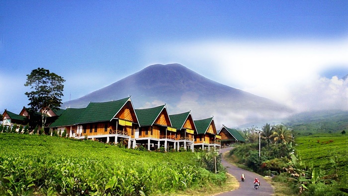 Gudang Teh Gunung Dempo Spot Instagramable Serasa di Grindelwald Swiss