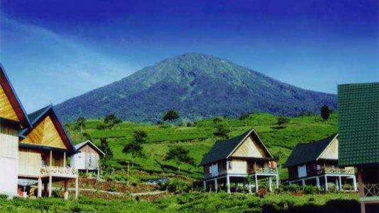 gudang teh gunung dempo