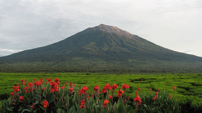 Uji Nyali Kamu dengan Hiking di Gunung Kerinci