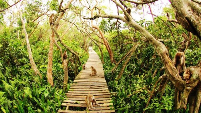 Bercanda Bersama Monyet-Monyet Usil di TWA Pulau Kembang