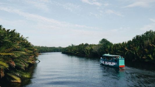 pemandangan sungai sekonyer