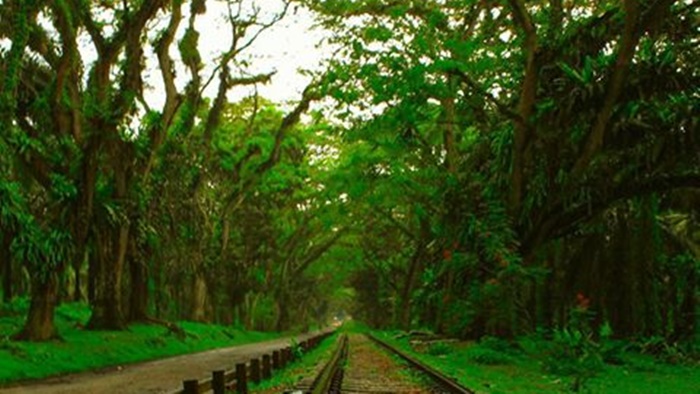 Padang Halaban View, Lorong Negeri ke Dunia Dongeng