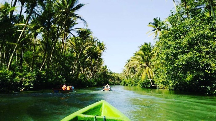 Susur Sungai Sekonyer, Cara Terbaik Jelajah Hutan Kalimantan