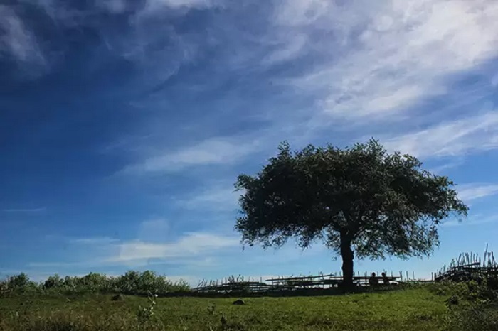 Desa Mantar Negeri di Atas Awan dari Sumbawa