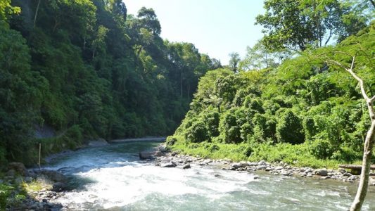 jalur trekking di bukit lawang