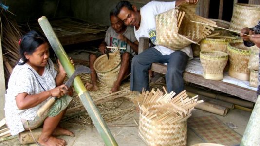 jenis bambu yang digunakan