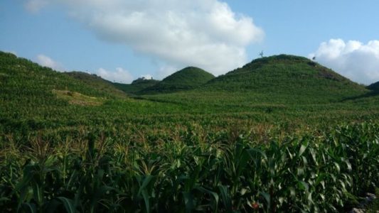 berwisata ke bukit teletubbies