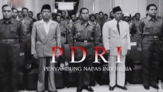 pdri selamatkan indonesia