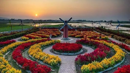 indahnya pemandangan taman celosia